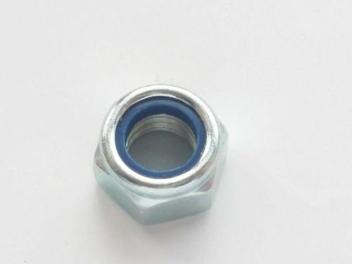 ����̎��